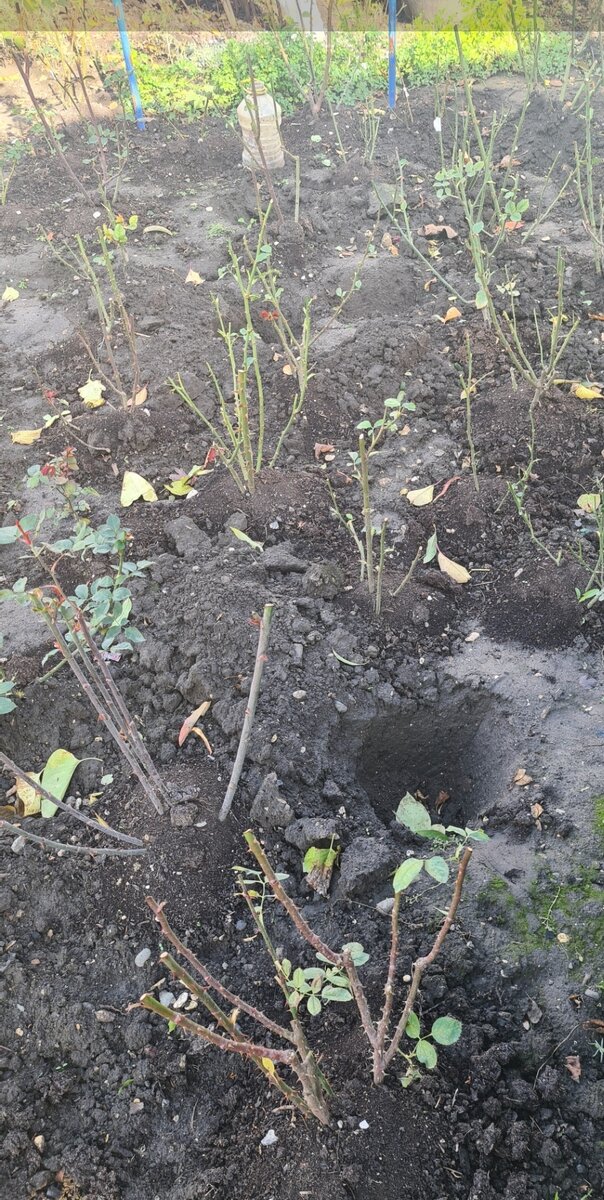 Ямка для Габриэль