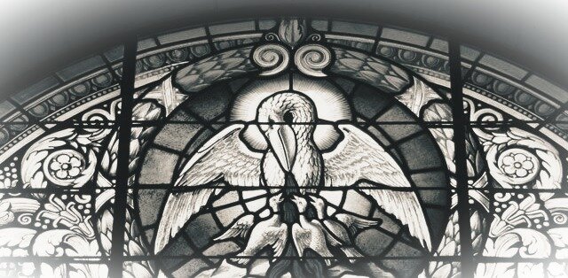 По легенде, когда заканчивалась пища, пеликан вспарывал себе брюхо и кормил птенцов собственным телом. Эта птица для средневекового человека была самым ярким, самым чистым символом любви к ближнему, символом самопожертвования и самоотречения.