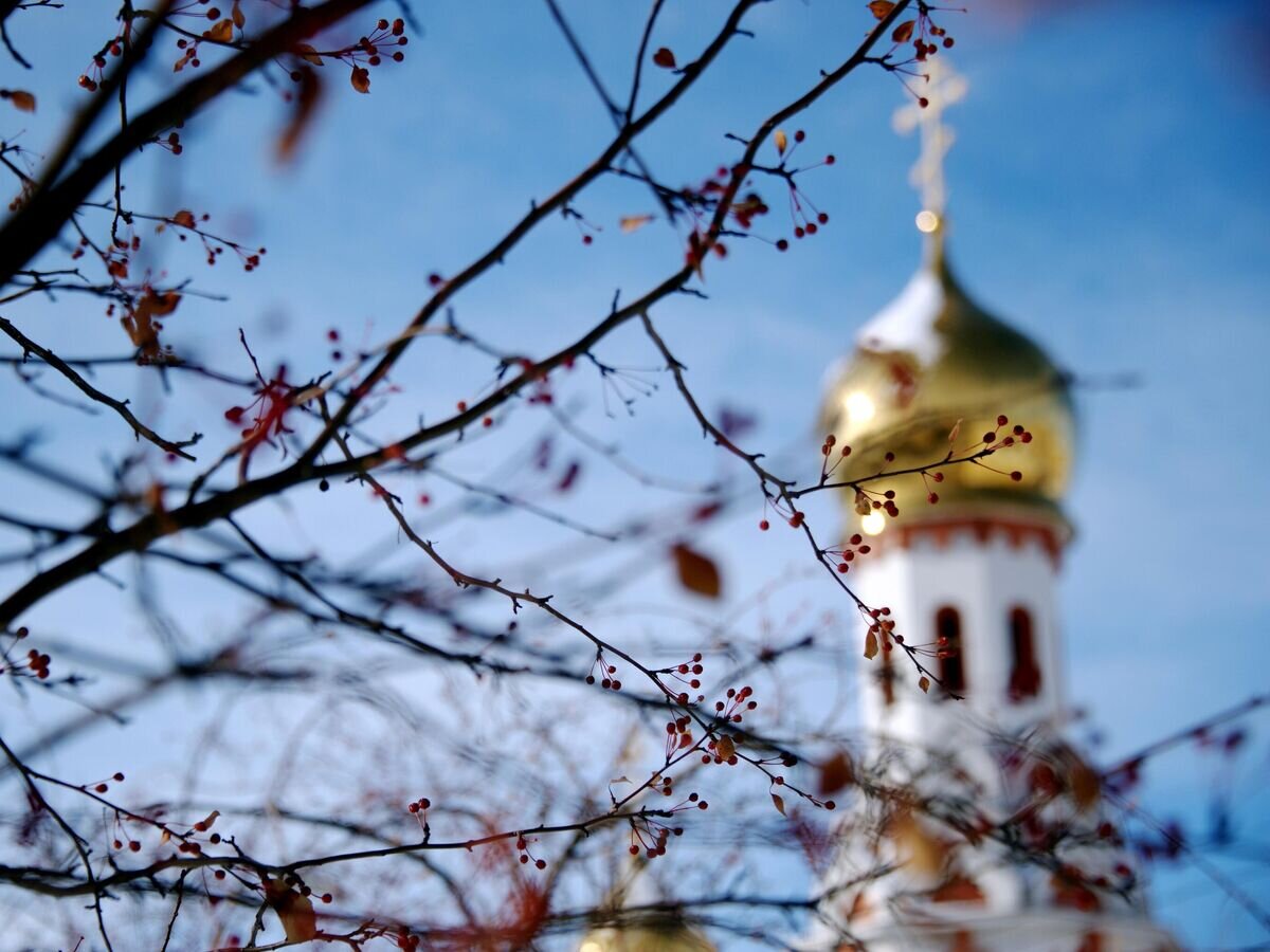    Храм святителя Луки Крымского© РИА Новости / Евгений Епанчинцев