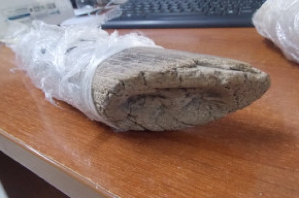    Гражданин КНР пытался вывезти из России фрагменты бивней мамонта