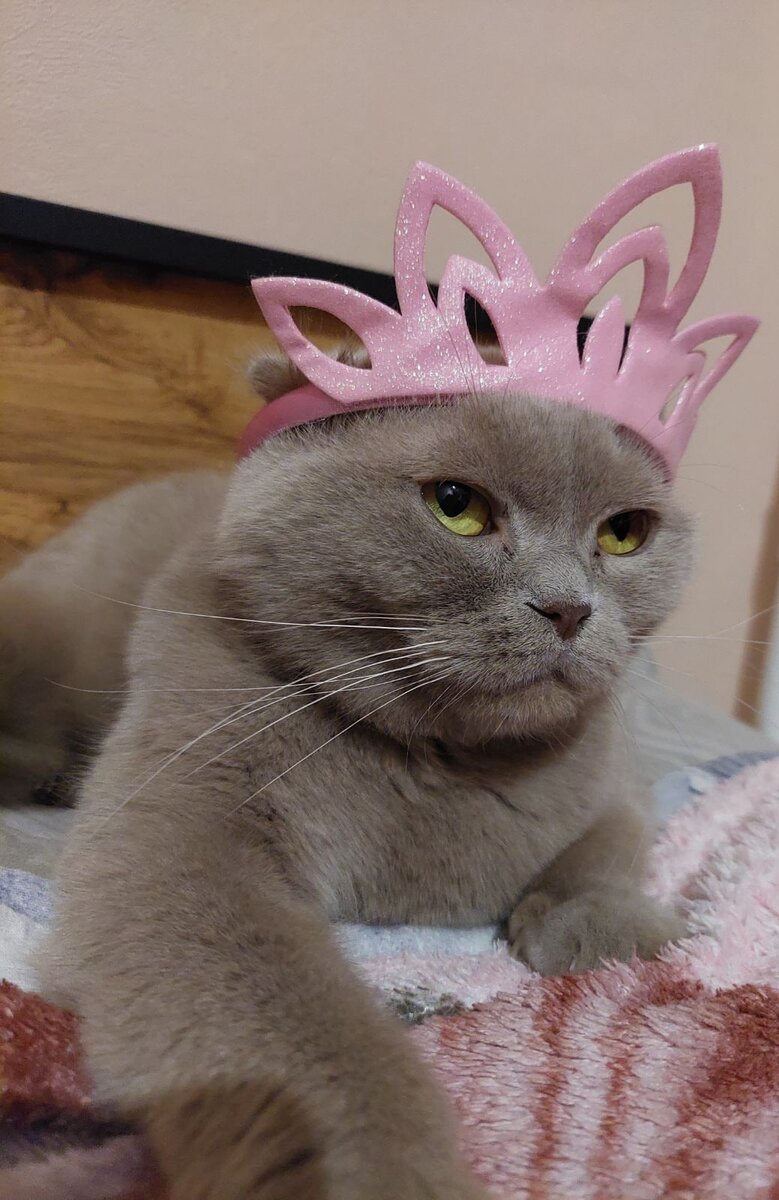 Источник: Яндекс картинки