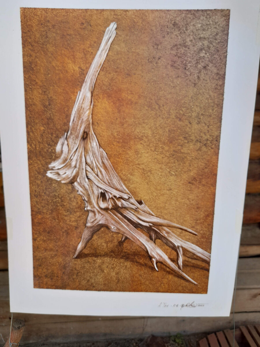 фото из личного архива. Андрей Тен