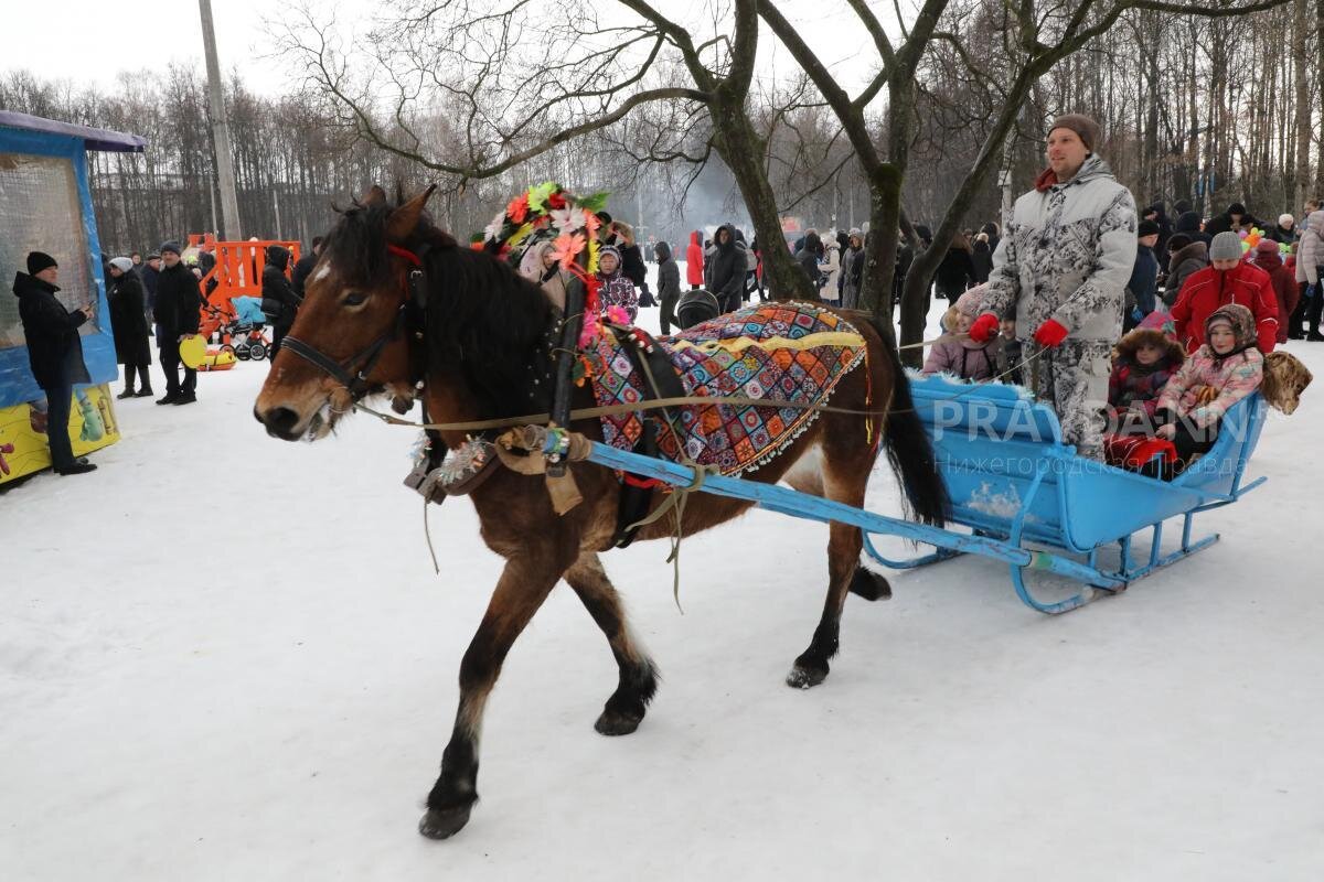    25 ноября наши предки начинали кататься на санях Pravda-nn.ru