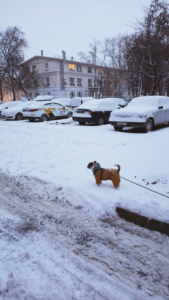 Фото автора.