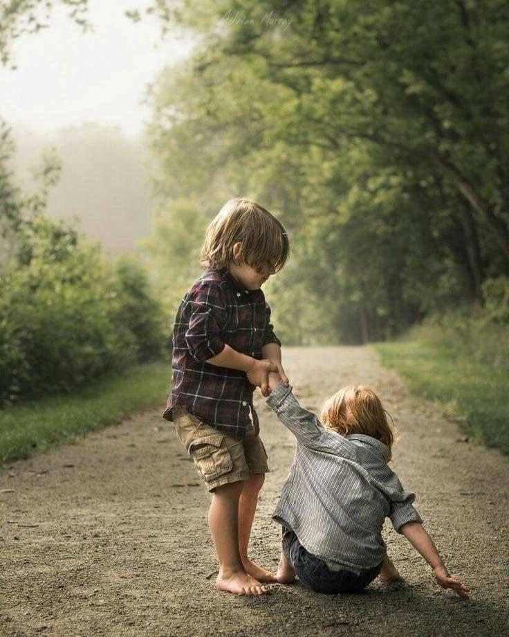 Яндекс Картинки.