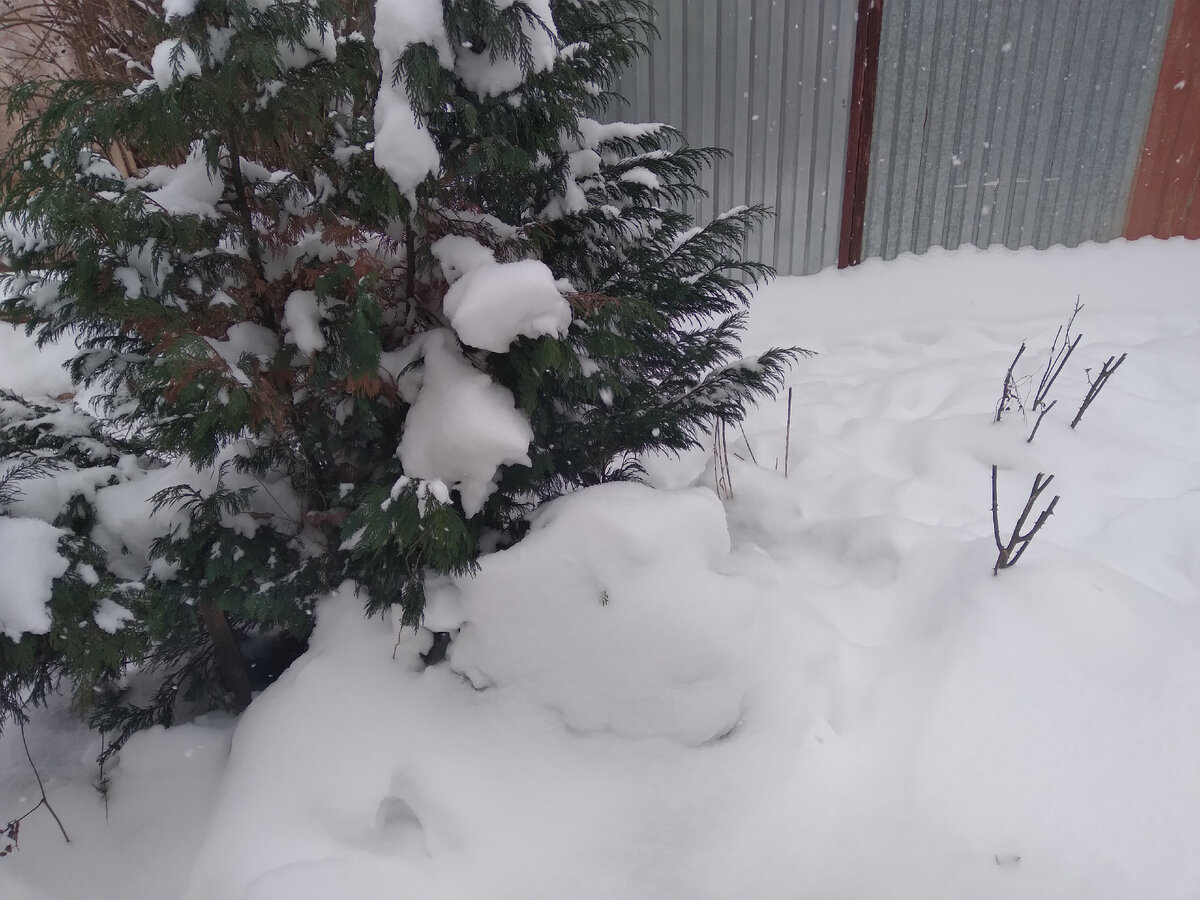 Там,где месяц назад розы цвели.