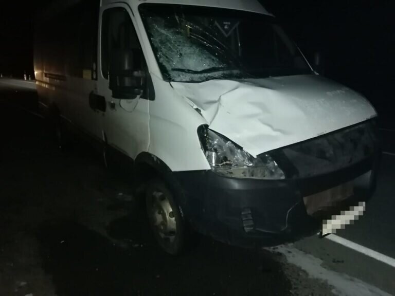    В Новоорском районе водитель микроавтобуса сбил двух пешеходов. Один скончался Кристина Просвиркина