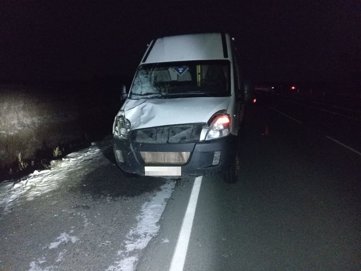    В Новоорском районе водитель микроавтобуса сбил двух пешеходов. Один скончался Кристина Просвиркина
