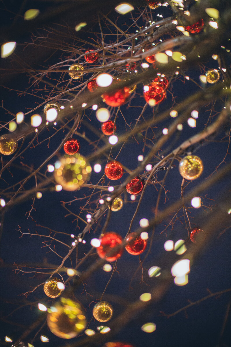 Happy  New Year!