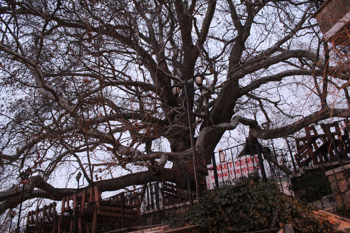 Это в Бурсе