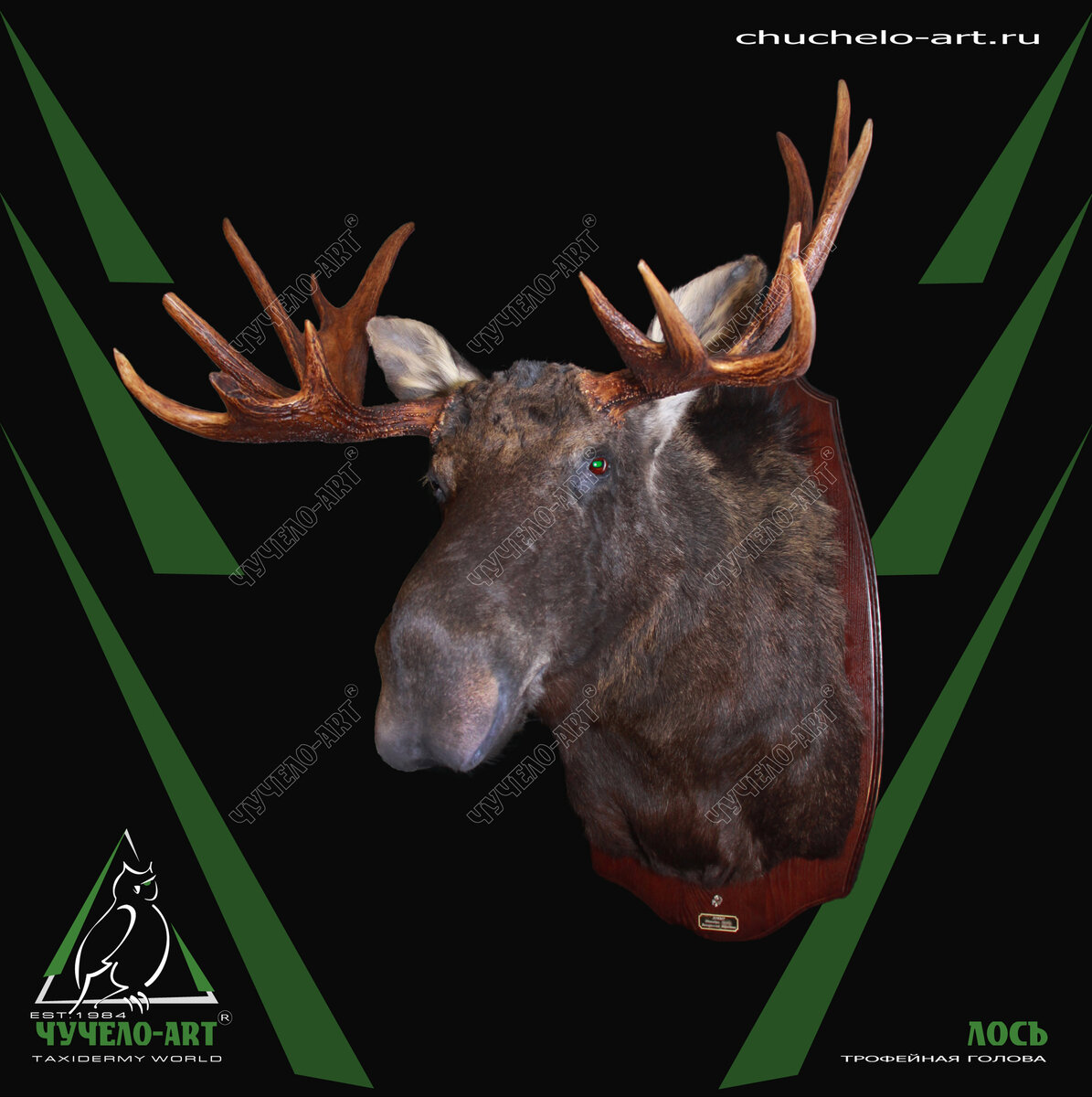 www.chuchelo-art.ru Москва +7 (926) 600-30-30
Петербург +7 (812) 900-30-30
Самара +7 (927) 900-30-30
ЧУЧЕЛО-АРТ, ЧУЧЕЛО-ART®
Любые чучела: звери, птицы, рыбы, др.
Трофейные головы, пьедесталы
Ковры из шкур, покрывала
Выделка шкур, обработка меха
Трофейные черепа, рога, клыки
Охотничьи, рыболовные сувениры
Работы с живописью, картины
Резьба по дереву и кости
Композиции, биогруппы, диорамы
Витрины, мебель, светильники
Шуточные композиции
Вымышленные животные
Изготовление из нашего сырья
Продажа готовых изделий
Ремонт и реставрация
Согласование и пересылка изделий
Доставка, монтаж в интерьере
Покупка и зачёт сырья
(зверей, рогов, птиц)
Приглашаем к сотрудничеству

