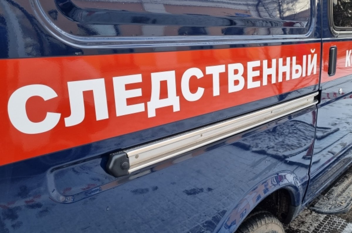    Жительницу Псковской области подозревают в убийстве троих своих детей