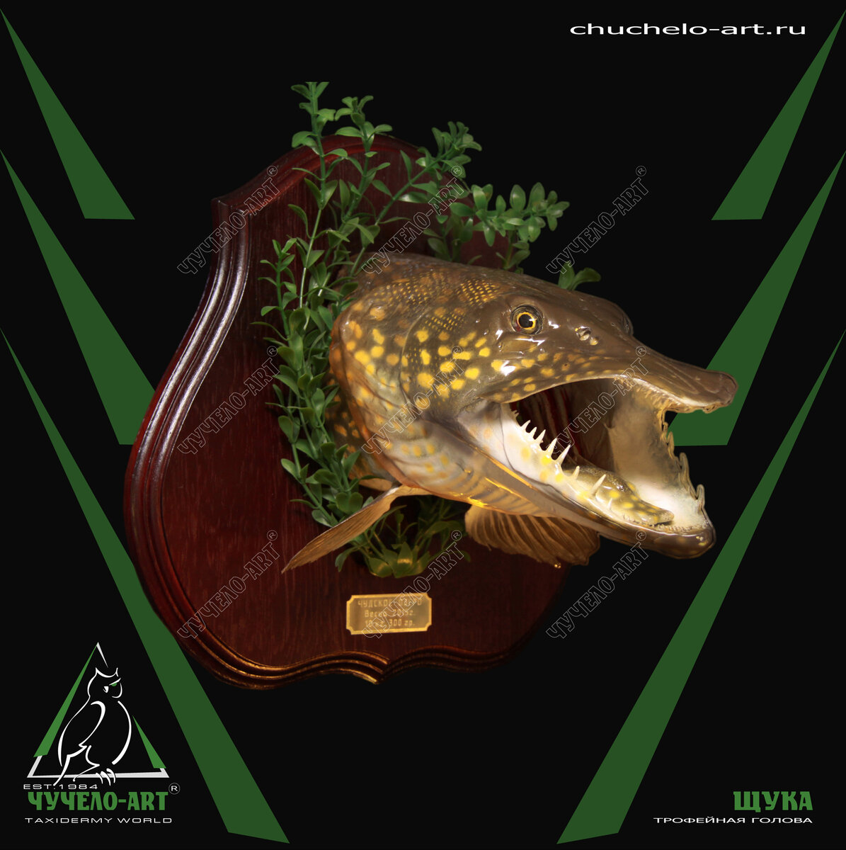 www.chuchelo-art.ru Москва +7 (926) 600-30-30
Петербург +7 (812) 900-30-30
Самара +7 (927) 900-30-30
ЧУЧЕЛО-АРТ, ЧУЧЕЛО-ART®
Любые чучела: звери, птицы, рыбы, др.
Трофейные головы, пьедесталы
Ковры из шкур, покрывала
Выделка шкур, обработка меха
Трофейные черепа, рога, клыки
Охотничьи, рыболовные сувениры
Работы с живописью, картины
Резьба по дереву и кости
Композиции, биогруппы, диорамы
Витрины, мебель, светильники
Шуточные композиции
Вымышленные животные
Изготовление из нашего сырья
Продажа готовых изделий
Ремонт и реставрация
Согласование и пересылка изделий
Доставка, монтаж в интерьере
Покупка и зачёт сырья
(зверей, рогов, птиц)
Приглашаем к сотрудничеству

