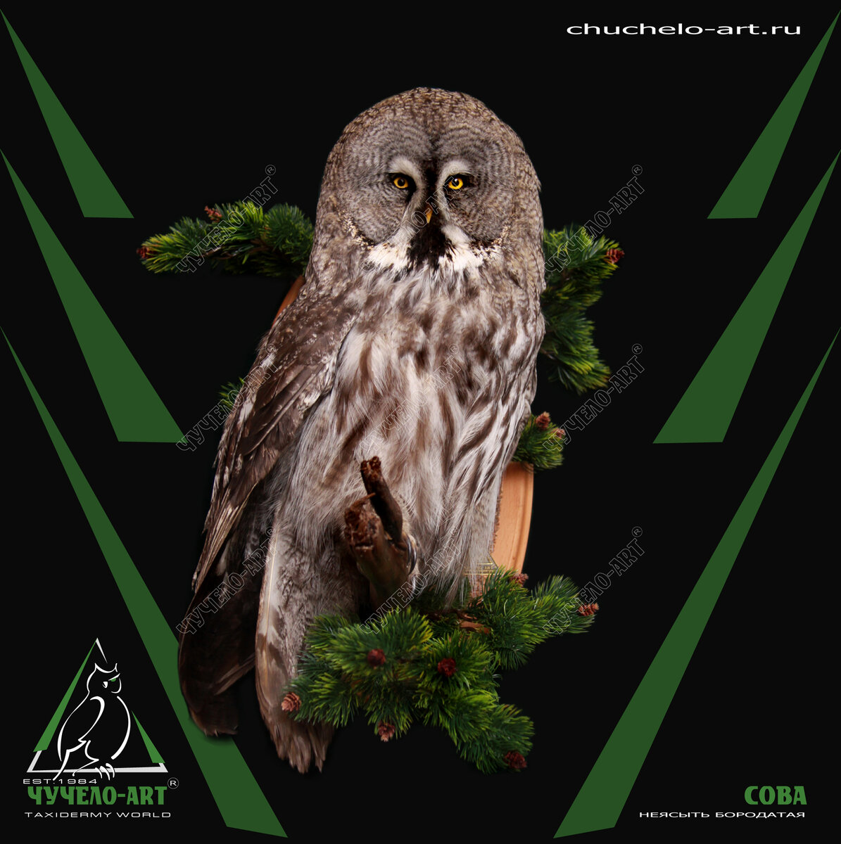 www.chuchelo-art.ru Москва +7 (926) 600-30-30
Петербург +7 (812) 900-30-30
Самара +7 (927) 900-30-30
ЧУЧЕЛО-АРТ, ЧУЧЕЛО-ART®
Любые чучела: звери, птицы, рыбы, др.
Трофейные головы, пьедесталы
Ковры из шкур, покрывала
Выделка шкур, обработка меха
Трофейные черепа, рога, клыки
Охотничьи, рыболовные сувениры
Работы с живописью, картины
Резьба по дереву и кости
Композиции, биогруппы, диорамы
Витрины, мебель, светильники
Шуточные композиции
Вымышленные животные
Изготовление из нашего сырья
Продажа готовых изделий
Ремонт и реставрация
Согласование и пересылка изделий
Доставка, монтаж в интерьере
Покупка и зачёт сырья
(зверей, рогов, птиц)
Приглашаем к сотрудничеству

