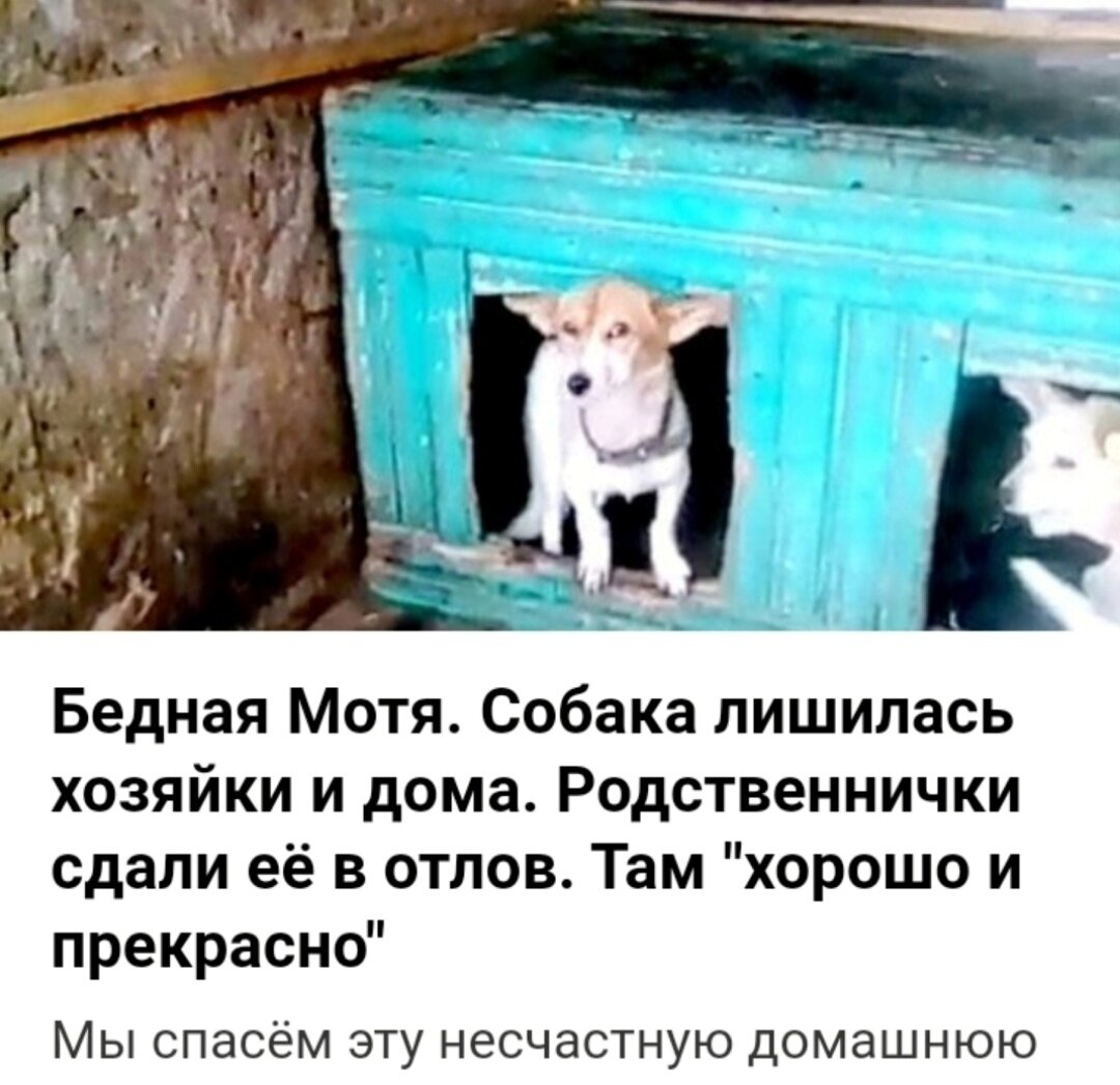 Наша статья о ней. Как все начиналось.