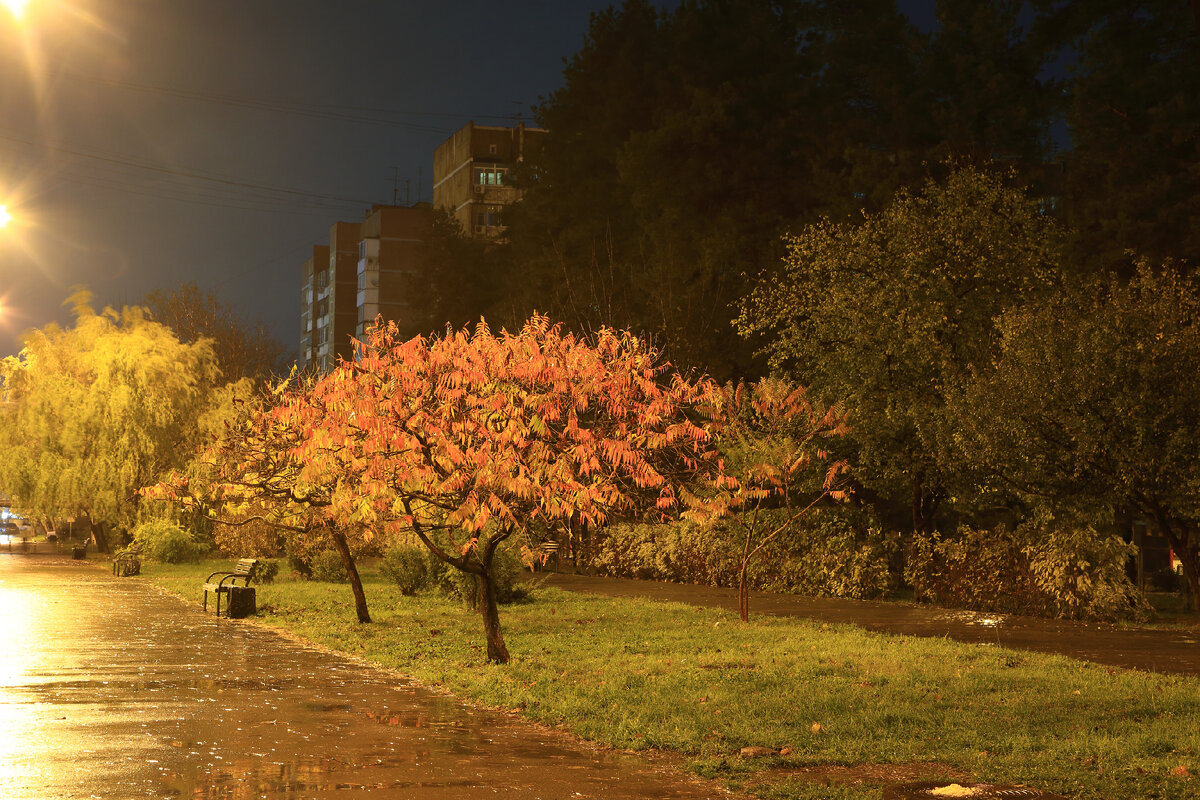 22.11.2023  21:51:03