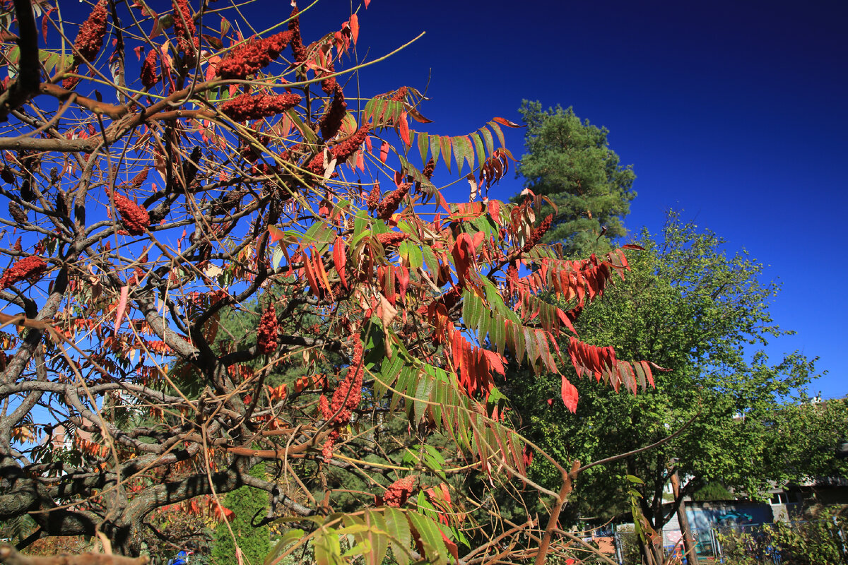 07.11.2023  12:56:04