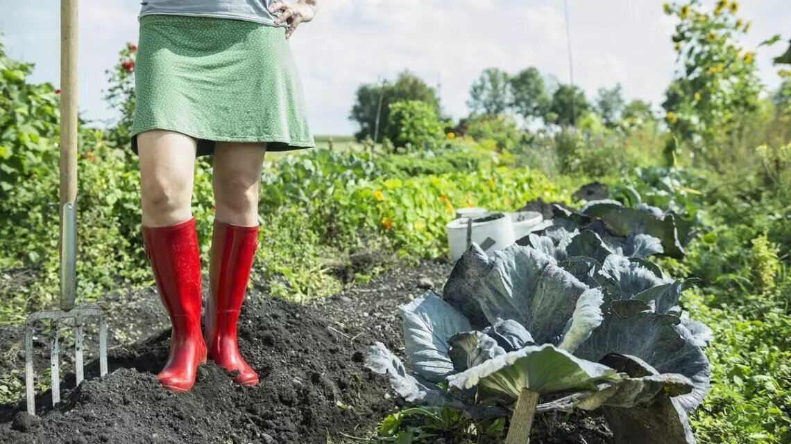     «Одноклассники» составили рейтинг хобби россиян, проанализировав активность 22 миллионов пользователей. Как выяснилось, они сильно зависят от времен года.