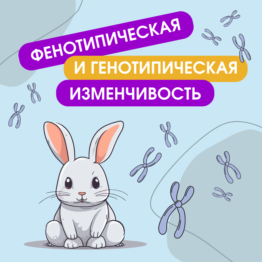 Фенотипическая и генотипическая изменчивость