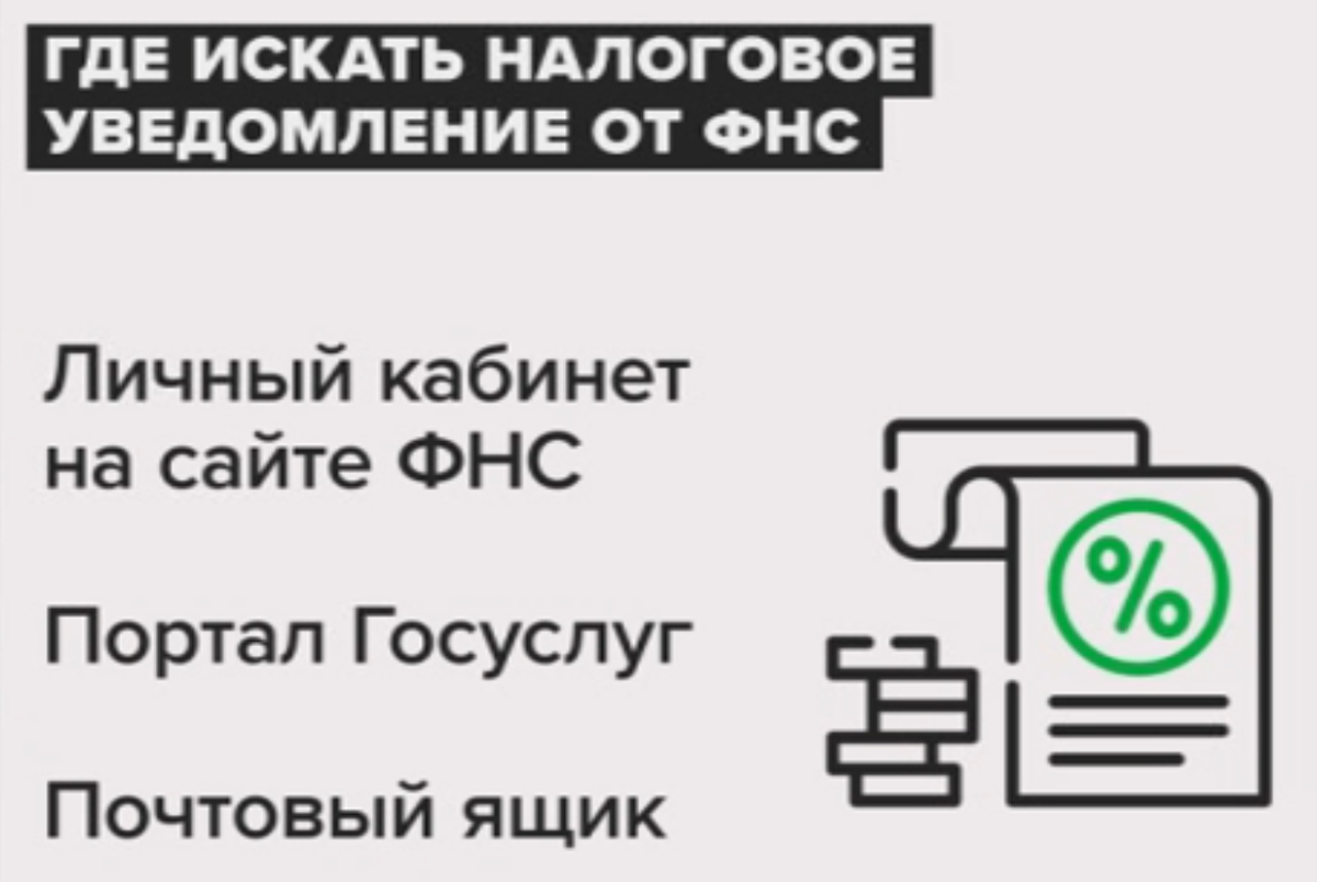 Успеть до 1 декабря Какие налоги надо заплатить? | Деньги 24 | Дзен