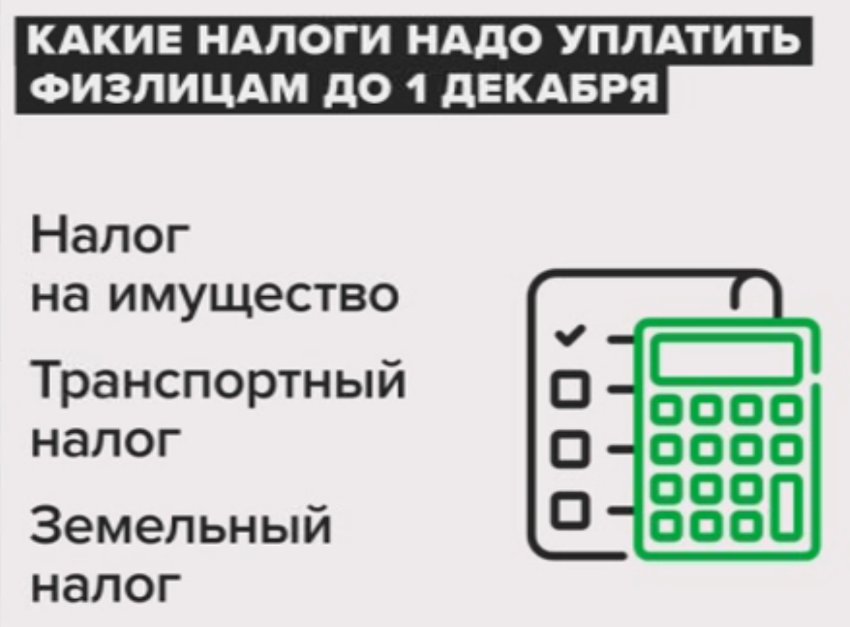 Успеть до 1 декабря Какие налоги надо заплатить? | Деньги 24 | Дзен