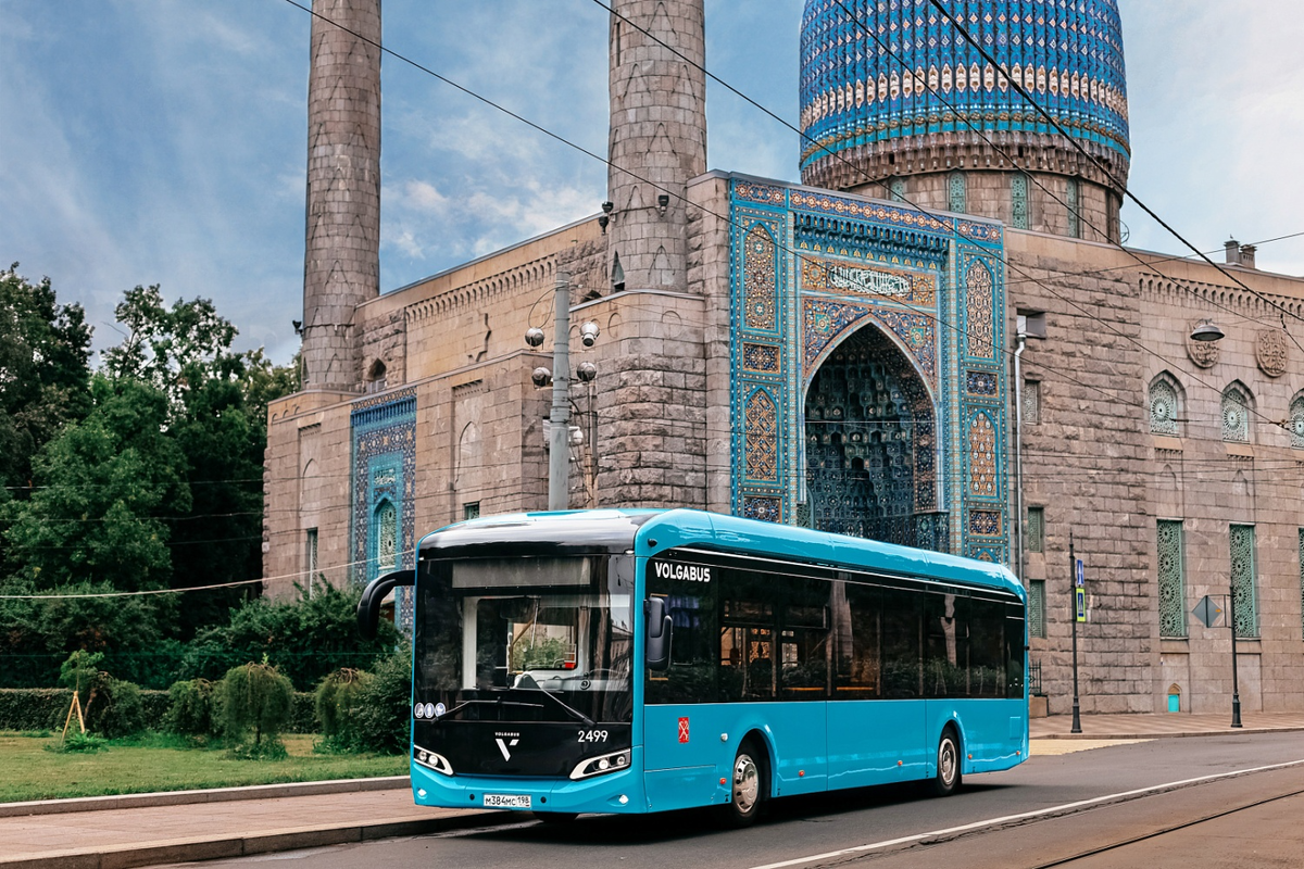 Иллюстрация: «Волгабас»  📷
