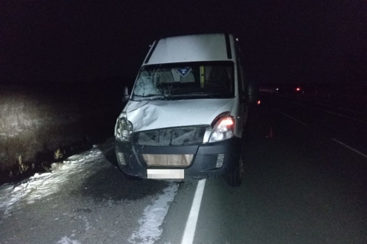    На трассе Орск — Светлый микроавтобус сбил насмерть пешехода