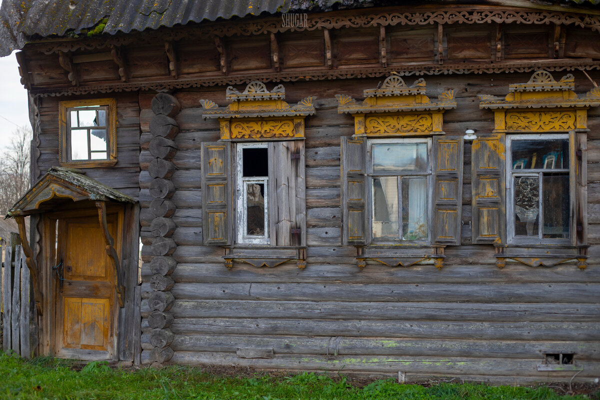 Уронили гигантский тополь на старинный деревенский дом | Света Шуга | Дзен