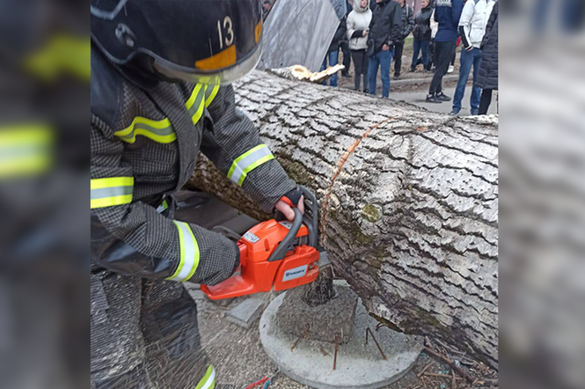    Единственным вариантом спасти людей было распилить дерево.