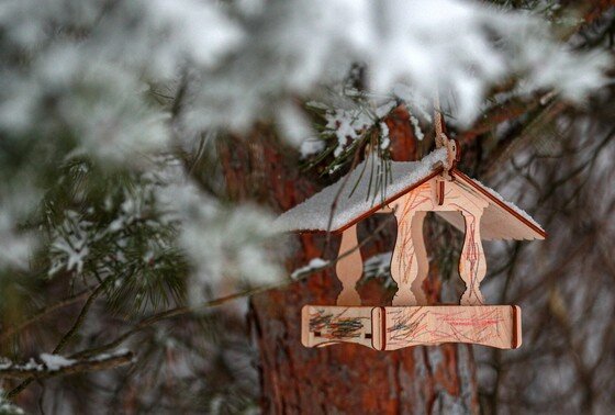    Как сделать кормушку для птиц