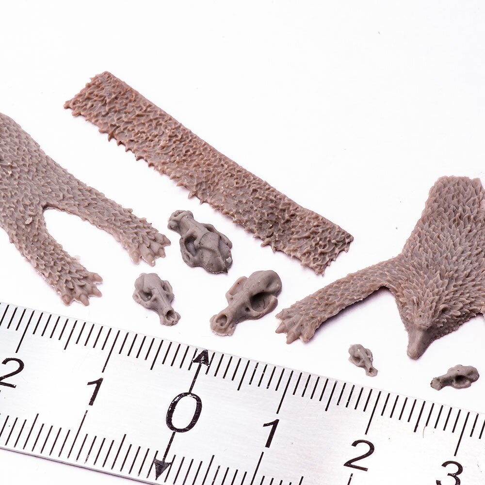 Приветствую друзья. Последнее время Леопарды пошли кучно, в этот раз свою версию выкатил Border Model. Оно и понятно каждый производитель хочет успеть снять пенку с ажиотажа.-3-2