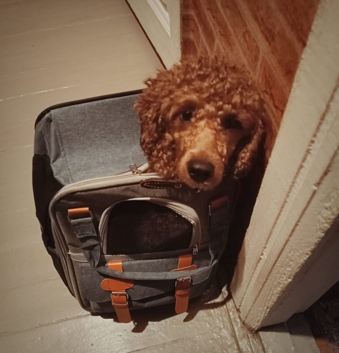 Румпель: - Замуровали, демоны...