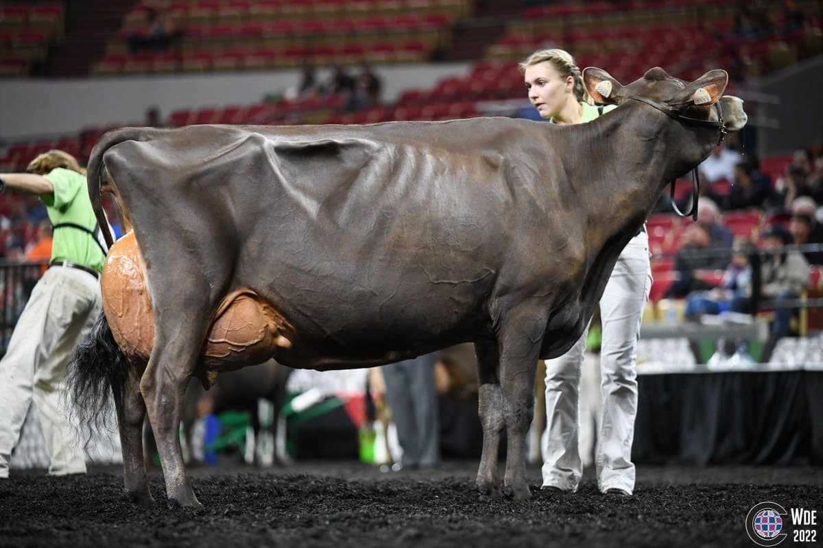 Просто скажи, что завидуешь. 