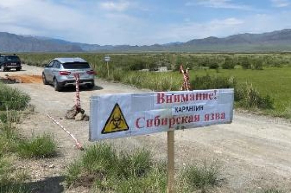    На территории, где выявили сибирскую язву, вводили карантин.