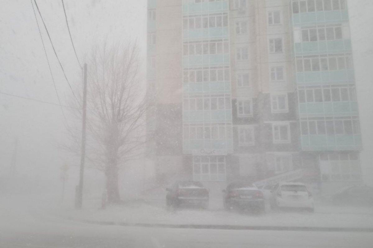 Все началось с метели. Снежная буря. Снег в Оренбурге. Метель. Сильная метель Снежная буря.