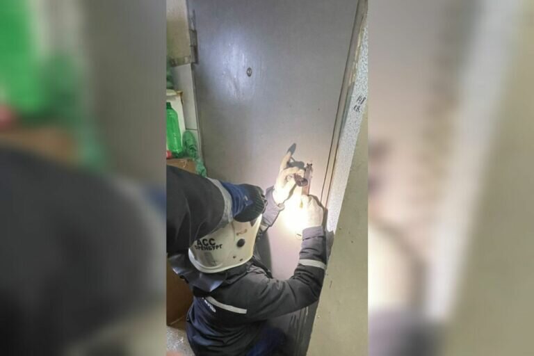    В Оренбурге спасатели помогли двум пожилым людям с инсультом Кристина Просвиркина