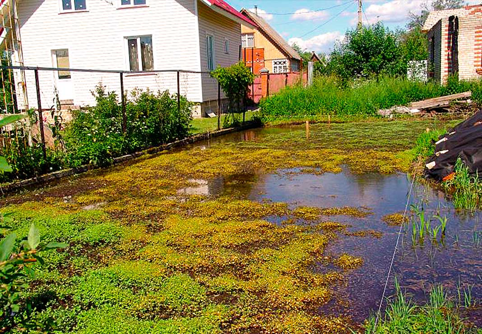 Стоит вода на участке что делать. Вода на участке. Талые воды на участке. Вода на участке весной. Дача на заболоченном участке.