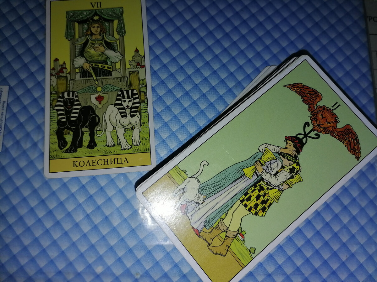 Фото автора.