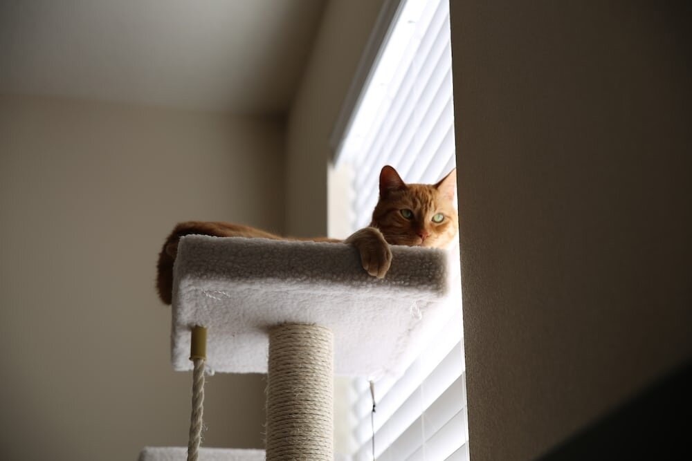 Фото Крис Бойер