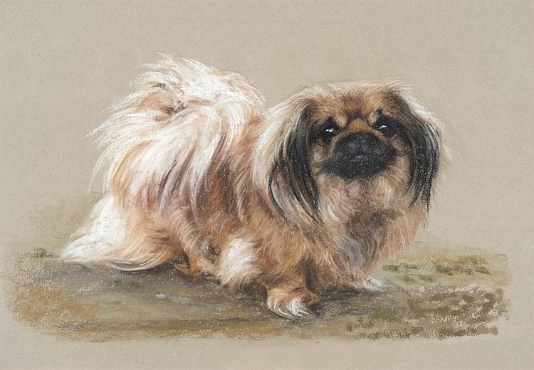 Интересный факт: Самый дорогой пёс за всю историю человечества