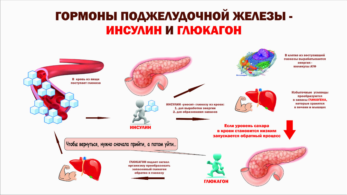 Что делать, если введен не тот инсулин