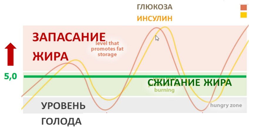 Скачок глюкозы