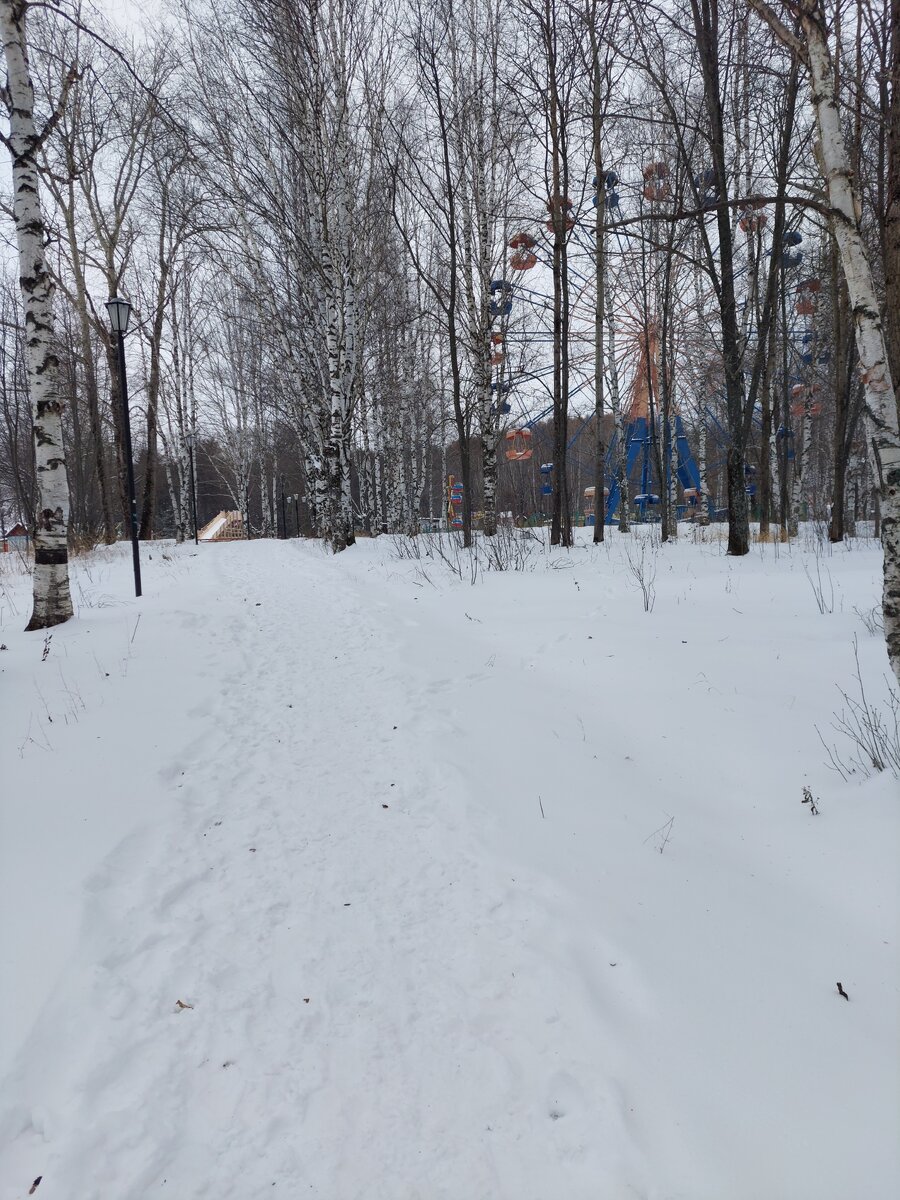 Дорожка в парке, снега навалило: не успевают чистить.