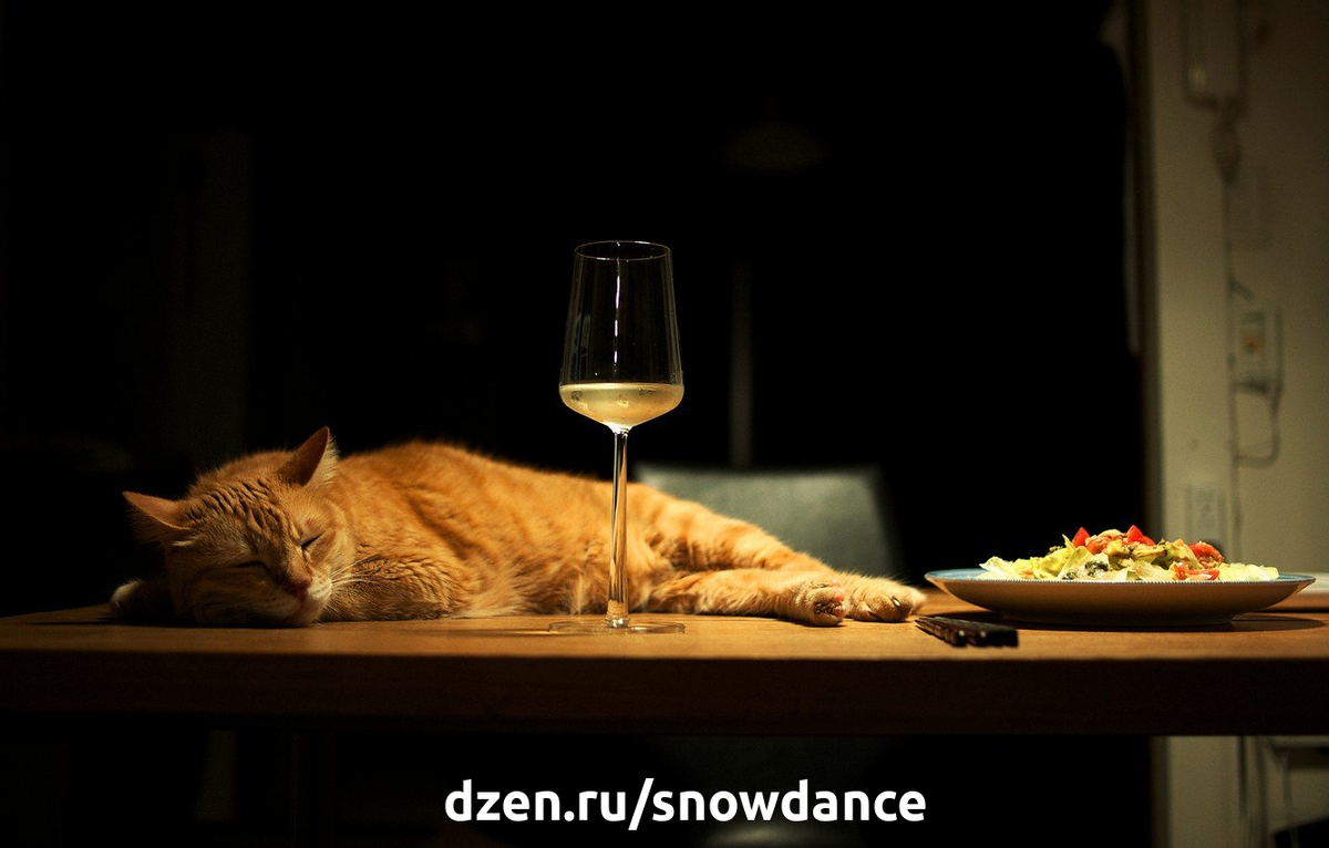 Кот отдыхает на столе