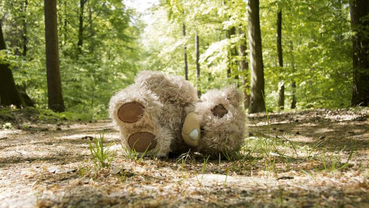 RALPH KERPA/IMAGEBROKER.COM/GLOBALLOOKPRESS 