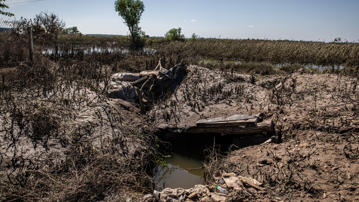 ФОТО: ALEX CHAN/KEYSTONE PRESS AGENCY/GLOBALLOOKPRESS 