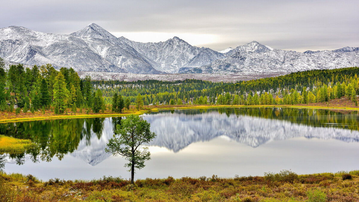 Озеро киделю горный алтай фото 10 САМЫХ КРАСИВЫХ ОЗЁР РЕСПУБЛИКИ АЛТАЙ ЛЕНИВЫЙ ТУРИСТ Дзен