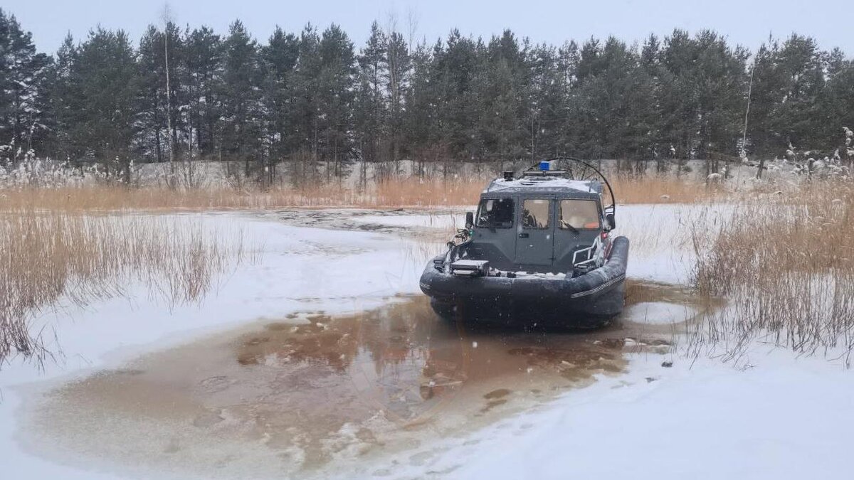 Фото: t.me/acclenobl