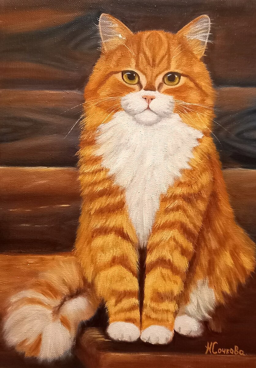 Фотогеничность