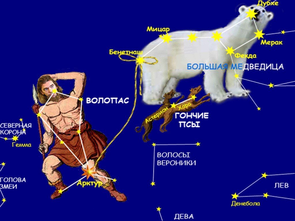Самая яркая звезда в созвездии гончие псы. Волопас гончие псы большая Медведица. Созвездие гончие псы Легенда. Волопас Дева и Лев. Созвездие Волопас и большая Медведица.